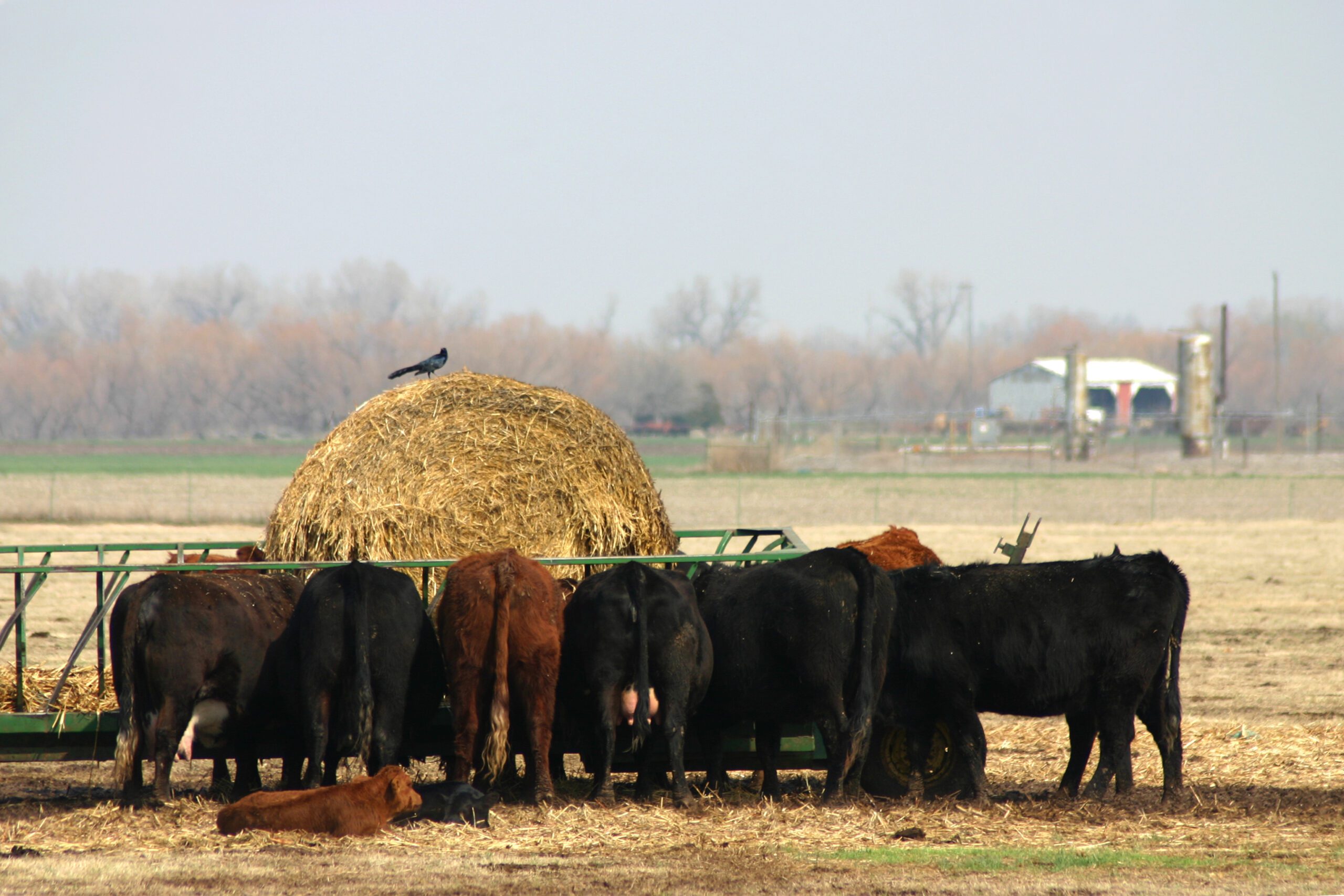 Stillwater Milling Claremore Ok - ni2wqfi